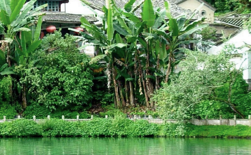 鄉(xiāng)村民宿景區(qū)宣傳策略營(yíng)銷存在問題