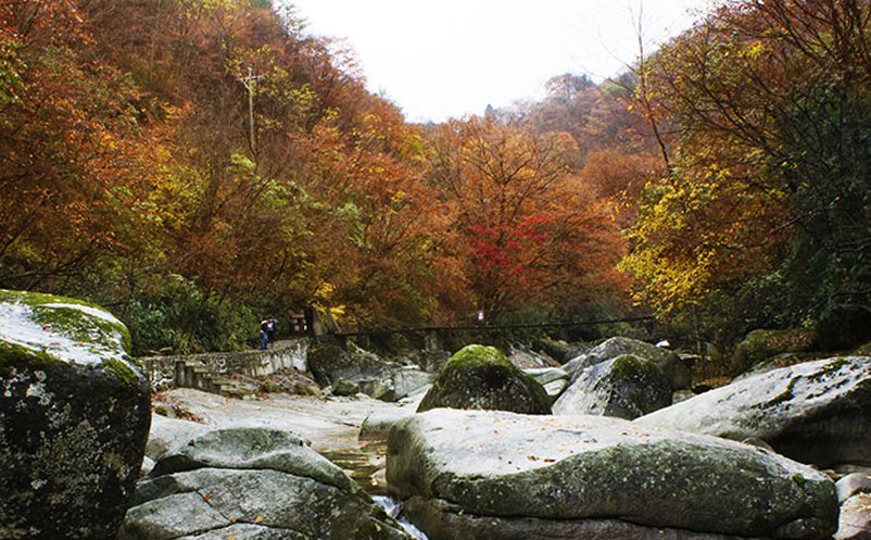 景區(qū)營(yíng)銷主體應(yīng)該多元化