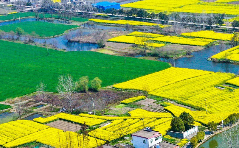 社會化媒體營銷慢慢取代旅游景區(qū)以往的營銷方式
