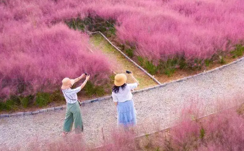 如何打造網(wǎng)紅旅游景區(qū)（旅游IP打造）