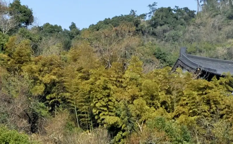 旅游景區(qū)門票經(jīng)濟的表現(xiàn)特征