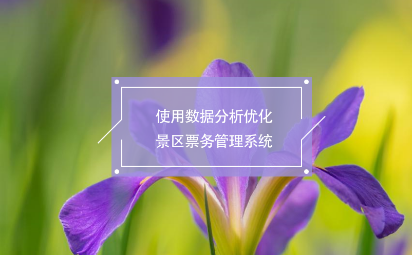 使用數(shù)據(jù)分析優(yōu)化景區(qū)票務管理系統(tǒng)
