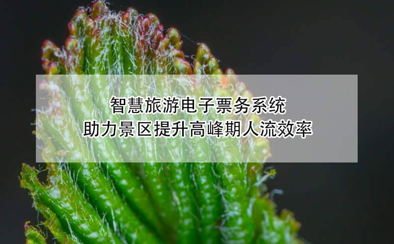 智慧旅游電子票務系統(tǒng)助力景區(qū)提升高峰期人流效率