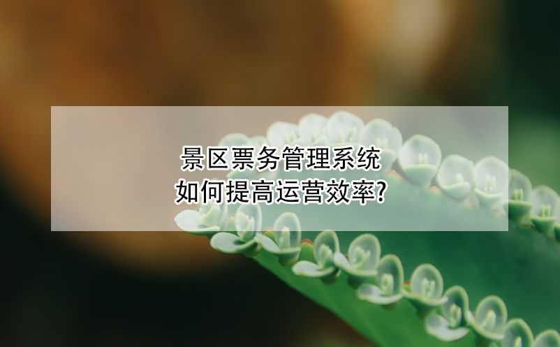 景區(qū)票務(wù)管理系統(tǒng)如何提高運(yùn)營(yíng)效率?