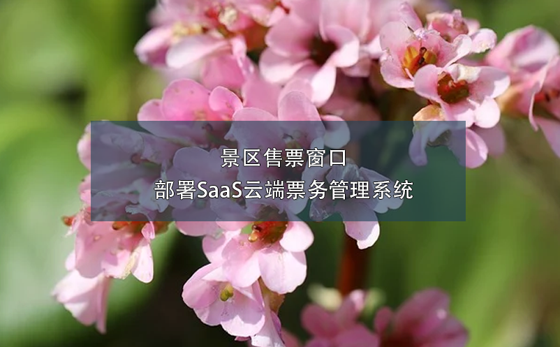 景區(qū)售票窗口部署SaaS云端票務管理系統(tǒng)