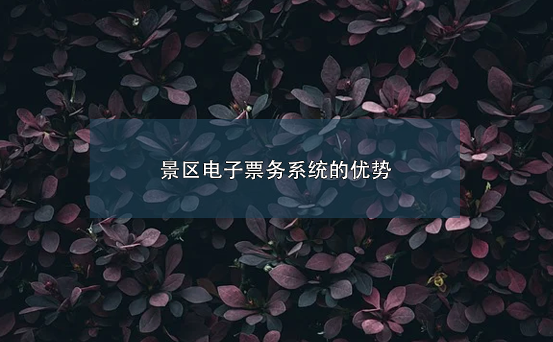 景區(qū)電子票務(wù)系統(tǒng)的優(yōu)勢