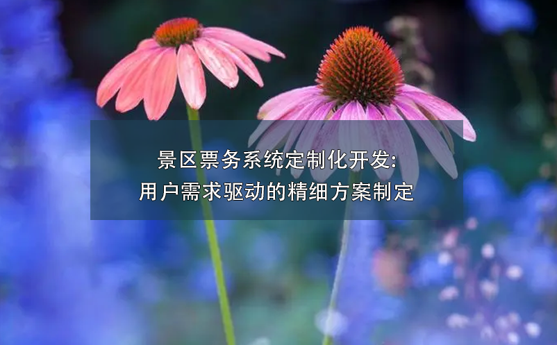 景區(qū)票務(wù)系統(tǒng)定制化開(kāi)發(fā):用戶需求驅(qū)動(dòng)的精細(xì)方案制定