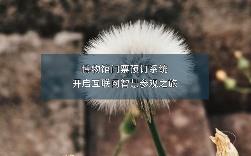 博物館門票預(yù)訂系統(tǒng)開啟互聯(lián)網(wǎng)智慧參觀之旅